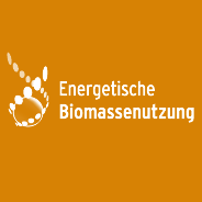 DBFZ Deutsches Biomasseforschungszentrum gGmbh